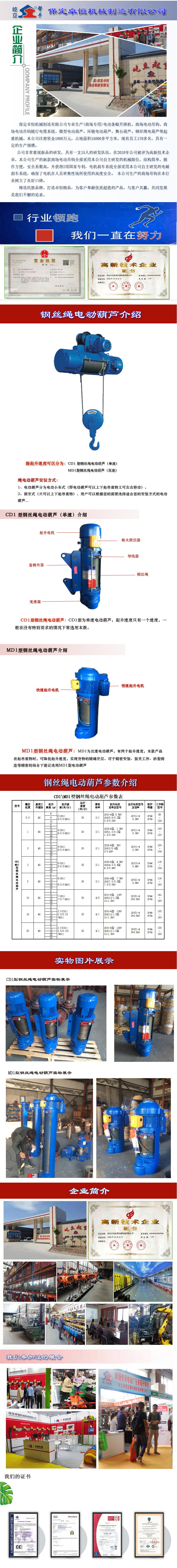 钢丝绳电动葫芦